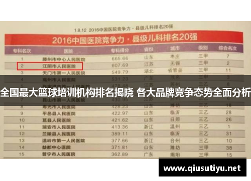 全国最大篮球培训机构排名揭晓 各大品牌竞争态势全面分析